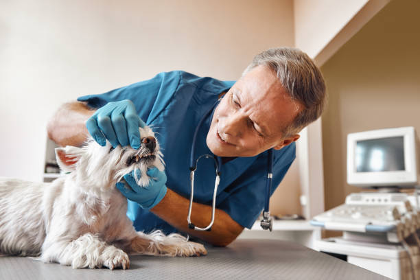Best Weekend Emergency Dentist in Richmond, TX